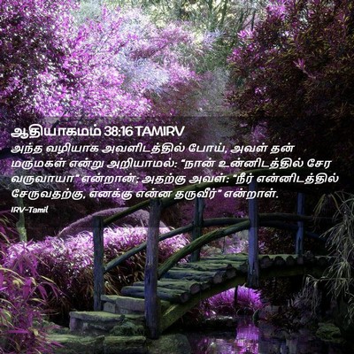 Picture 02 - ஆதியாகமம் 38:16 TAMIRV - அந்த வழியாக - Bible Verse Picture
