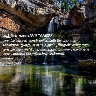 Picture 02 - ஆதியாகமம் 38:17 TAMIRV - அதற்கு அவன்: நான் - Bible Verse Picture