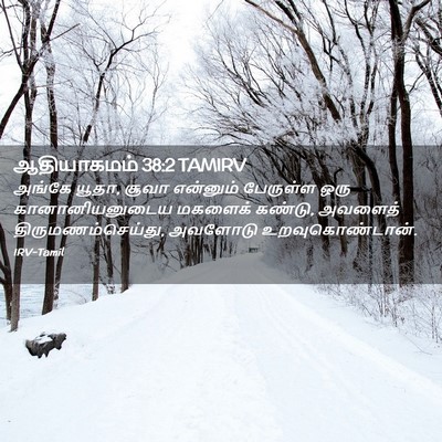 Picture 02 - ஆதியாகமம் 38:2 TAMIRV - அங்கே யூதா, சூவா - Bible Verse Picture