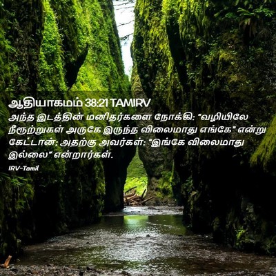 Picture 02 - ஆதியாகமம் 38:21 TAMIRV - அந்த இடத்தின் - Bible Verse Picture