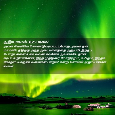 Picture 02 - ஆதியாகமம் 38:25 TAMIRV - அவள் வெளியே - Bible Verse Picture