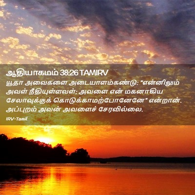Picture 02 - ஆதியாகமம் 38:26 TAMIRV - யூதா அவைகளை - Bible Verse Picture