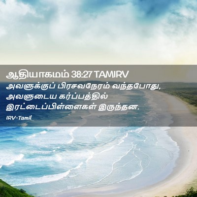 Picture 02 - ஆதியாகமம் 38:27 TAMIRV - அவளுக்குப் - Bible Verse Picture