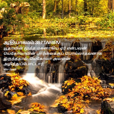 Picture 02 - ஆதியாகமம் 38:7 TAMIRV - யூதாவின் மூத்த - Bible Verse Picture