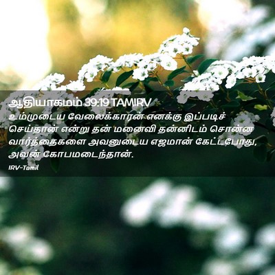 Picture 02 - ஆதியாகமம் 39:19 TAMIRV - உம்முடைய - Bible Verse Picture