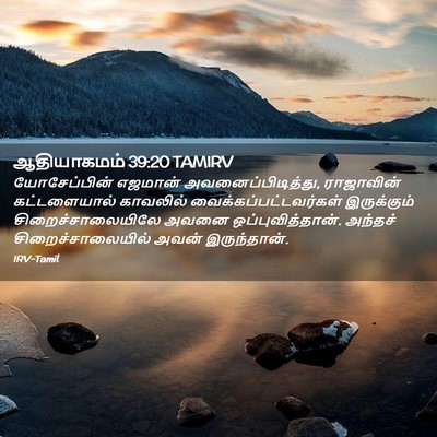 Picture 02 - ஆதியாகமம் 39:20 TAMIRV - யோசேப்பின் எஜமான் - Bible Verse Picture
