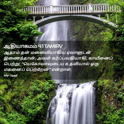 Picture 02 - ஆதியாகமம் 4:1 TAMIRV - ஆதாம் தன் - Bible Verse Picture