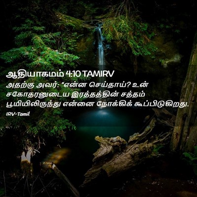 Picture 02 - ஆதியாகமம் 4:10 TAMIRV - அதற்கு அவர்: “என்ன - Bible Verse Picture