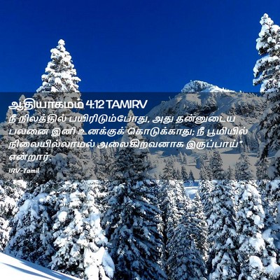 Picture 02 - ஆதியாகமம் 4:12 TAMIRV - நீ நிலத்தில் - Bible Verse Picture