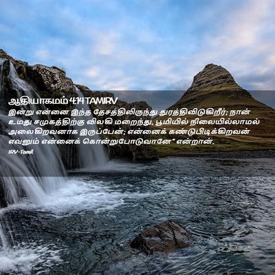 Picture 02 - ஆதியாகமம் 4:14 TAMIRV - இன்று என்னை இந்த - Bible Verse Picture