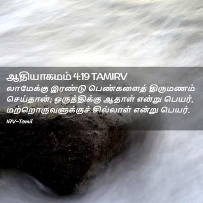 Picture 02 - ஆதியாகமம் 4:19 TAMIRV - லாமேக்கு இரண்டு - Bible Verse Picture