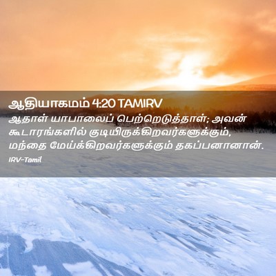 Picture 02 - ஆதியாகமம் 4:20 TAMIRV - ஆதாள் யாபாலைப் - Bible Verse Picture