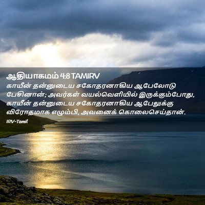 Picture 02 - ஆதியாகமம் 4:8 TAMIRV - காயீன் தன்னுடைய - Bible Verse Picture