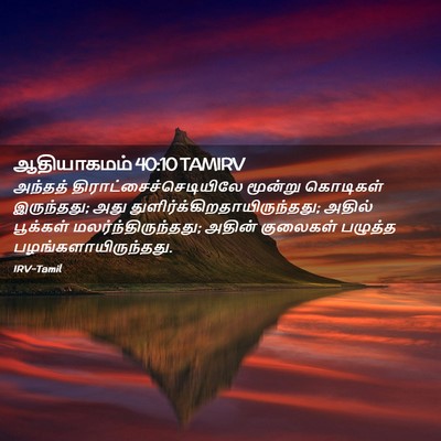 Picture 02 - ஆதியாகமம் 40:10 TAMIRV - அந்தத் - Bible Verse Picture
