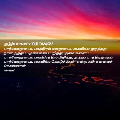 Picture 02 - ஆதியாகமம் 40:11 TAMIRV - பார்வோனுடைய - Bible Verse Picture