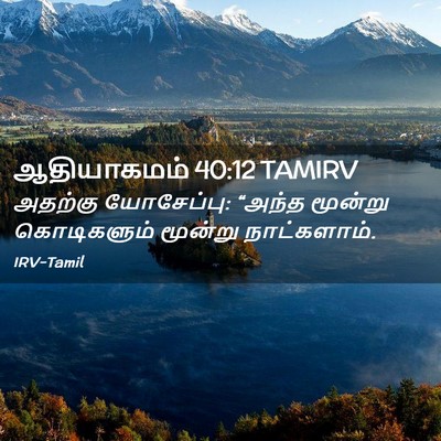Picture 02 - ஆதியாகமம் 40:12 TAMIRV - அதற்கு யோசேப்பு: - Bible Verse Picture