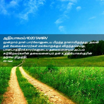 Picture 02 - ஆதியாகமம் 40:20 TAMIRV - மூன்றாம் நாள் - Bible Verse Picture