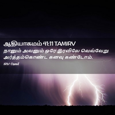 Picture 02 - ஆதியாகமம் 41:11 TAMIRV - நானும் அவனும் ஒரே - Bible Verse Picture