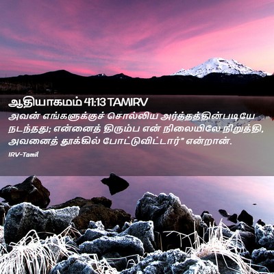 Picture 02 - ஆதியாகமம் 41:13 TAMIRV - அவன் எங்களுக்குச் - Bible Verse Picture
