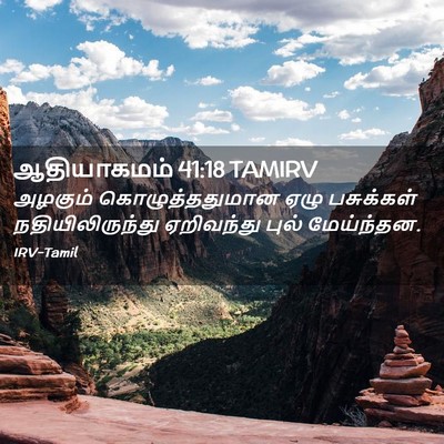 Picture 02 - ஆதியாகமம் 41:18 TAMIRV - அழகும் - Bible Verse Picture