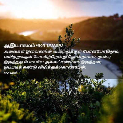 Picture 02 - ஆதியாகமம் 41:21 TAMIRV - அவைகள் இவைகளின் - Bible Verse Picture