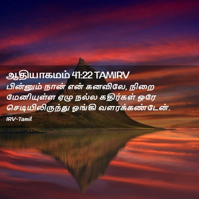 Picture 02 - ஆதியாகமம் 41:22 TAMIRV - பின்னும் நான் என் - Bible Verse Picture