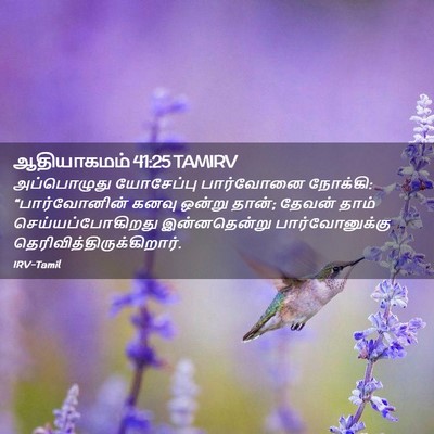Picture 02 - ஆதியாகமம் 41:25 TAMIRV - அப்பொழுது - Bible Verse Picture