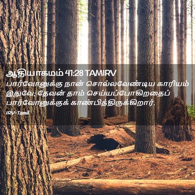 Picture 02 - ஆதியாகமம் 41:28 TAMIRV - பார்வோனுக்கு நான் - Bible Verse Picture