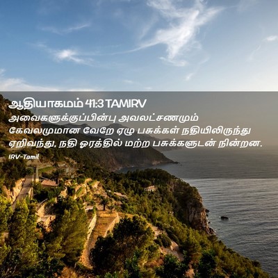 Picture 02 - ஆதியாகமம் 41:3 TAMIRV -  - Bible Verse Picture
