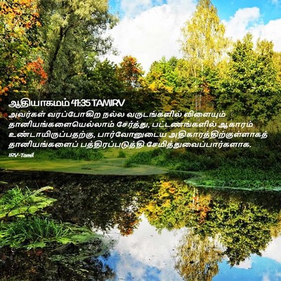 Picture 02 - ஆதியாகமம் 41:35 TAMIRV - அவர்கள் வரப்போகிற - Bible Verse Picture