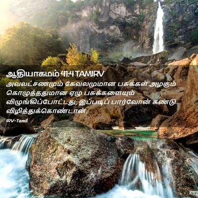 Picture 02 - ஆதியாகமம் 41:4 TAMIRV - அவலட்சணமும் - Bible Verse Picture