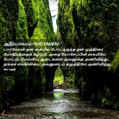 Picture 02 - ஆதியாகமம் 41:42 TAMIRV - பார்வோன் தன் - Bible Verse Picture