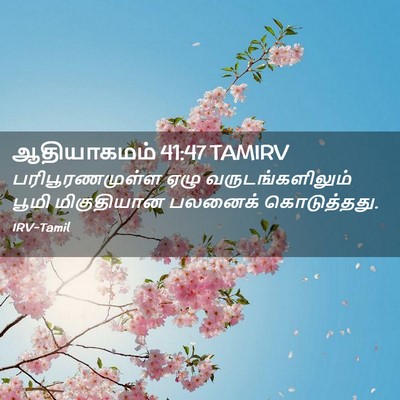 Picture 02 - ஆதியாகமம் 41:47 TAMIRV - பரிபூரணமுள்ள ஏழு - Bible Verse Picture