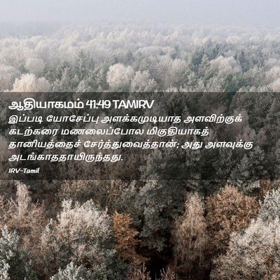 Picture 02 - ஆதியாகமம் 41:49 TAMIRV - இப்படி யோசேப்பு - Bible Verse Picture