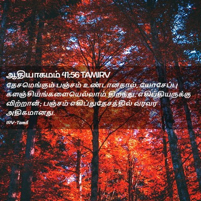 Picture 02 - ஆதியாகமம் 41:56 TAMIRV - தேசமெங்கும் - Bible Verse Picture
