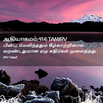 Picture 02 - ஆதியாகமம் 41:6 TAMIRV - பின்பு, - Bible Verse Picture