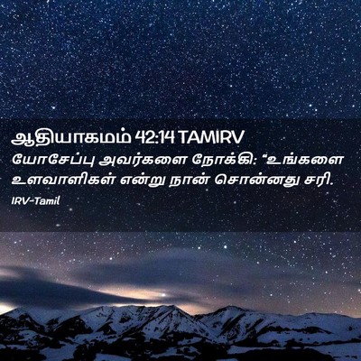 Picture 02 - ஆதியாகமம் 42:14 TAMIRV - யோசேப்பு அவர்களை - Bible Verse Picture