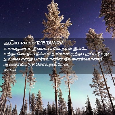 Picture 02 - ஆதியாகமம் 42:15 TAMIRV - உங்களுடைய இளைய - Bible Verse Picture