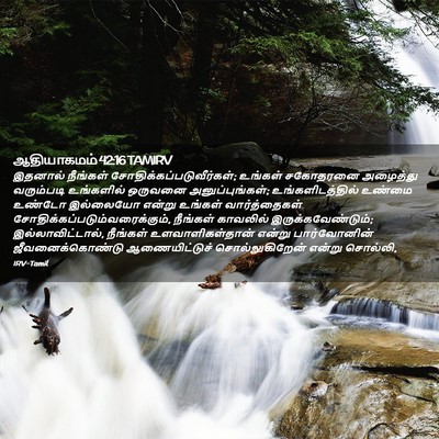 Picture 02 - ஆதியாகமம் 42:16 TAMIRV - இதனால் நீங்கள் - Bible Verse Picture
