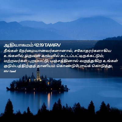 Picture 02 - ஆதியாகமம் 42:19 TAMIRV - நீங்கள் - Bible Verse Picture