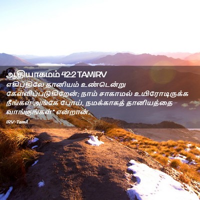 Picture 02 - ஆதியாகமம் 42:2 TAMIRV - எகிப்திலே தானியம் - Bible Verse Picture