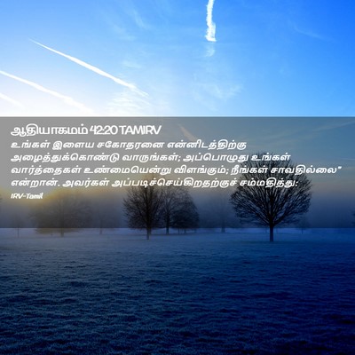 Picture 02 - ஆதியாகமம் 42:20 TAMIRV - உங்கள் இளைய - Bible Verse Picture