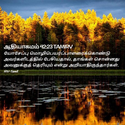 Picture 02 - ஆதியாகமம் 42:23 TAMIRV - யோசேப்பு - Bible Verse Picture