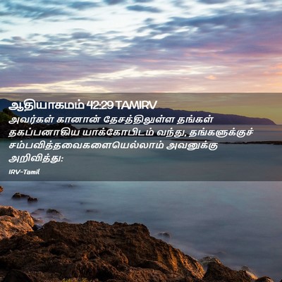 Picture 02 - ஆதியாகமம் 42:29 TAMIRV - அவர்கள் கானான் - Bible Verse Picture
