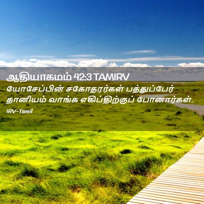 Picture 02 - ஆதியாகமம் 42:3 TAMIRV - யோசேப்பின் - Bible Verse Picture
