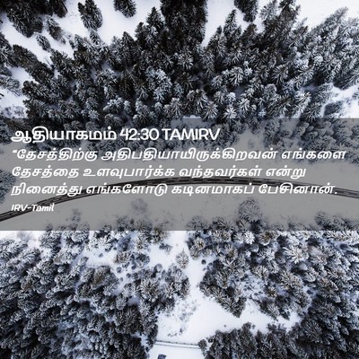 Picture 02 - ஆதியாகமம் 42:30 TAMIRV - “தேசத்திற்கு - Bible Verse Picture