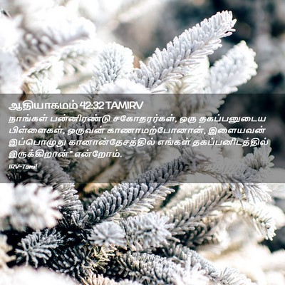 Picture 02 - ஆதியாகமம் 42:32 TAMIRV - நாங்கள் - Bible Verse Picture