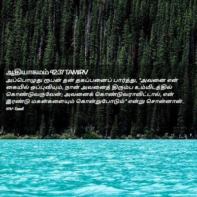 Picture 02 - ஆதியாகமம் 42:37 TAMIRV - அப்பொழுது ரூபன் - Bible Verse Picture