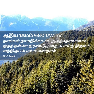 Picture 02 - ஆதியாகமம் 43:10 TAMIRV - நாங்கள் - Bible Verse Picture