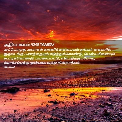 Picture 02 - ஆதியாகமம் 43:15 TAMIRV - அப்பொழுது அவர்கள் - Bible Verse Picture